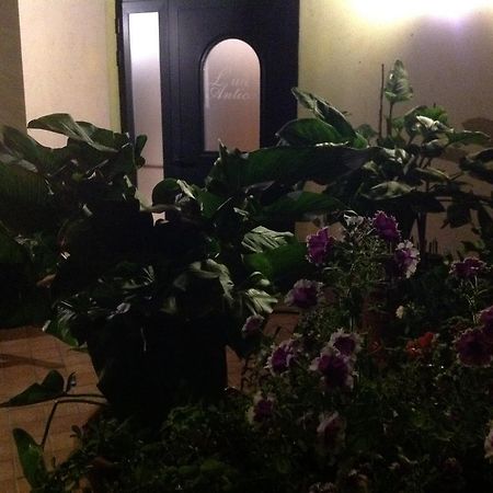 Bed and Breakfast L' Aia Antica Veroli Экстерьер фото